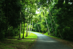 International Freight to Wewak